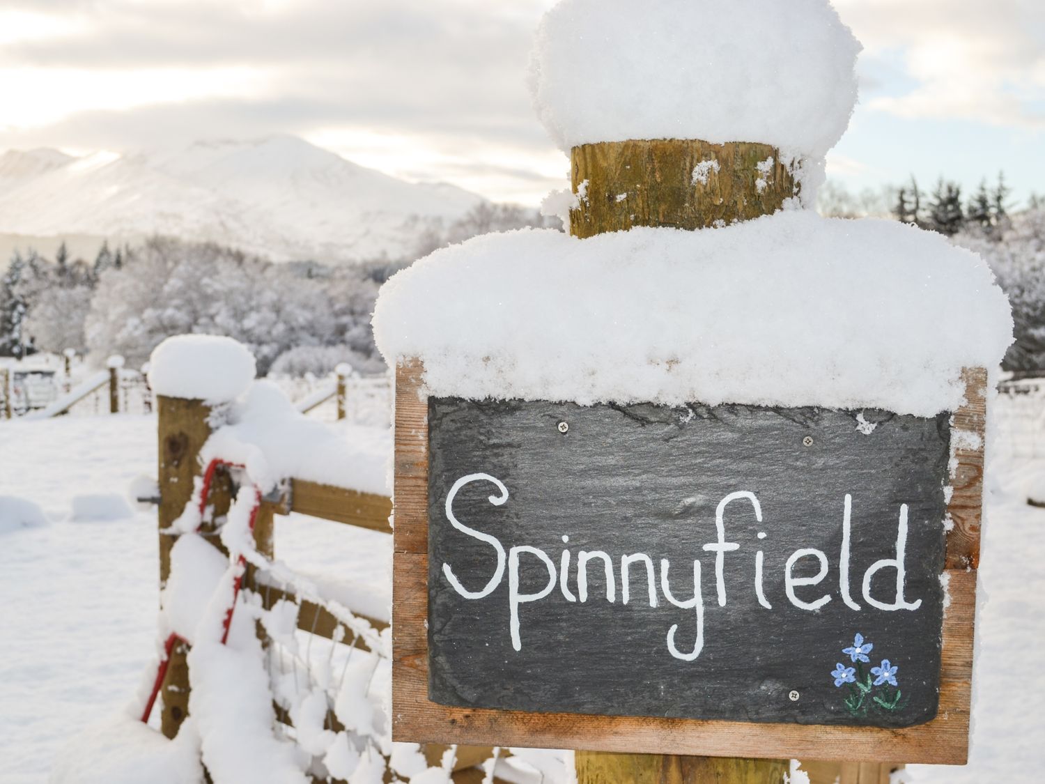 Spinnyfield, Scottish Highlands