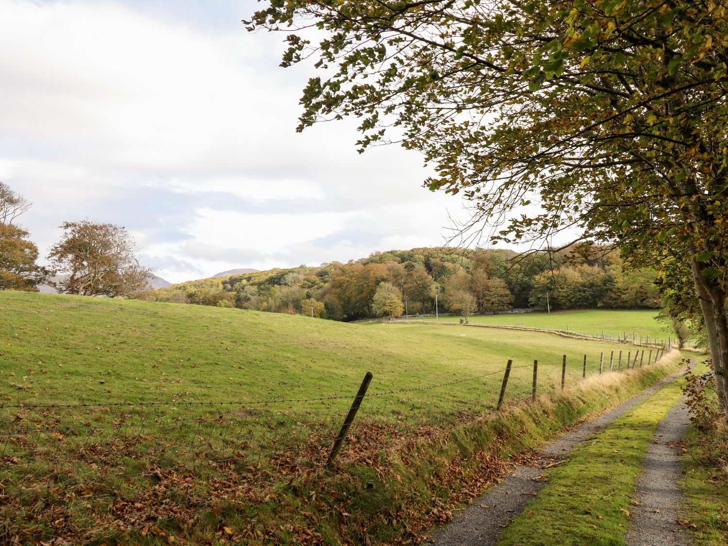 Plas Y Bryn Hall, Llanbedr