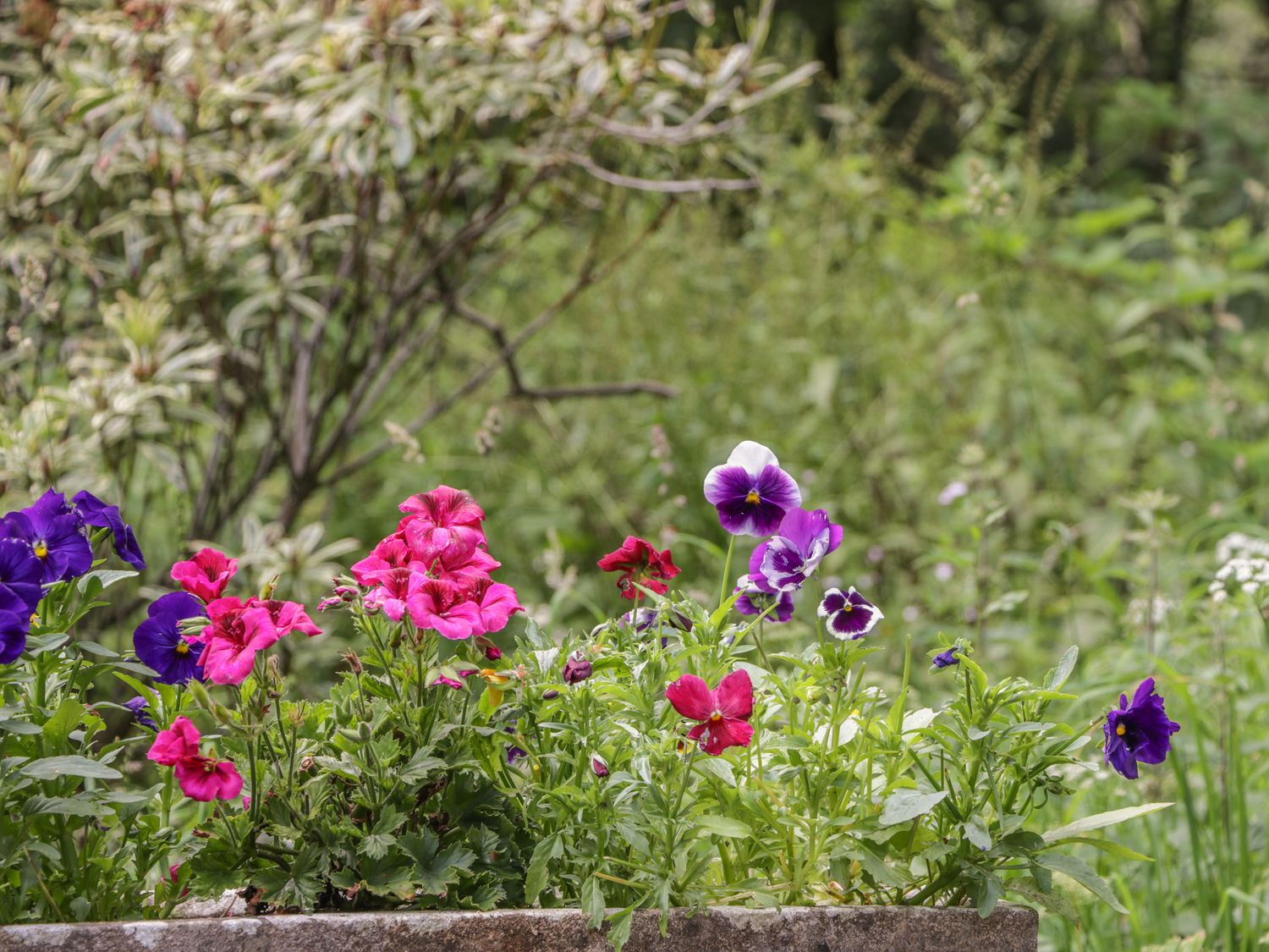 Property photo 25 of 25