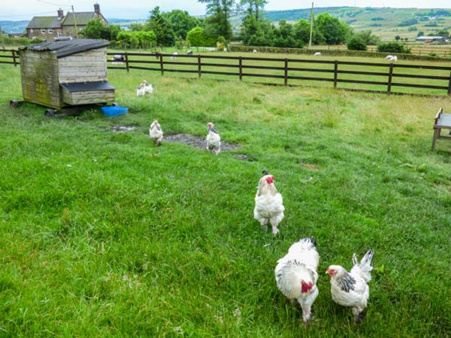 Lark's Rise Cottage, Peak Distrcit