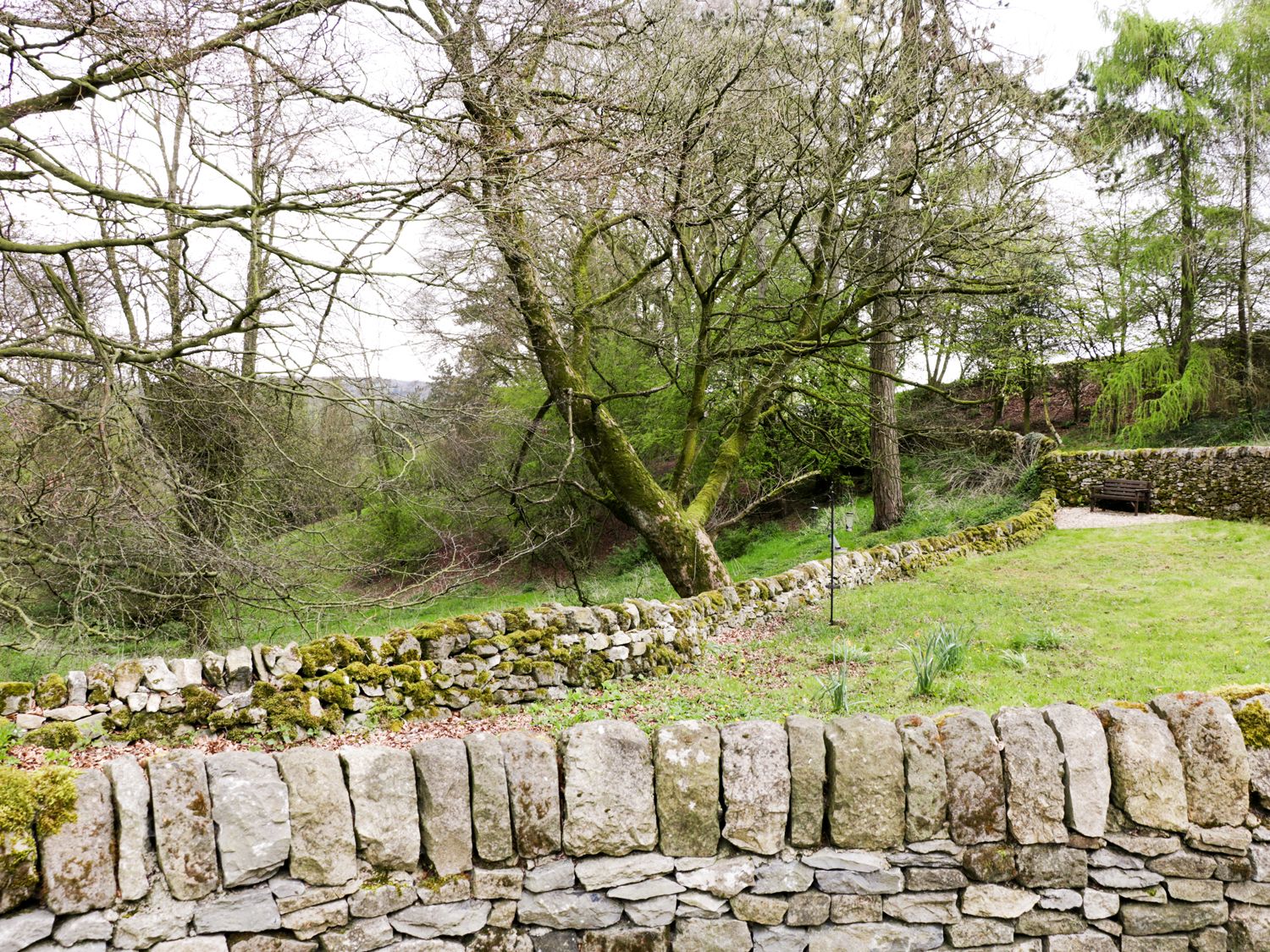 The Dell, Peak District National Park