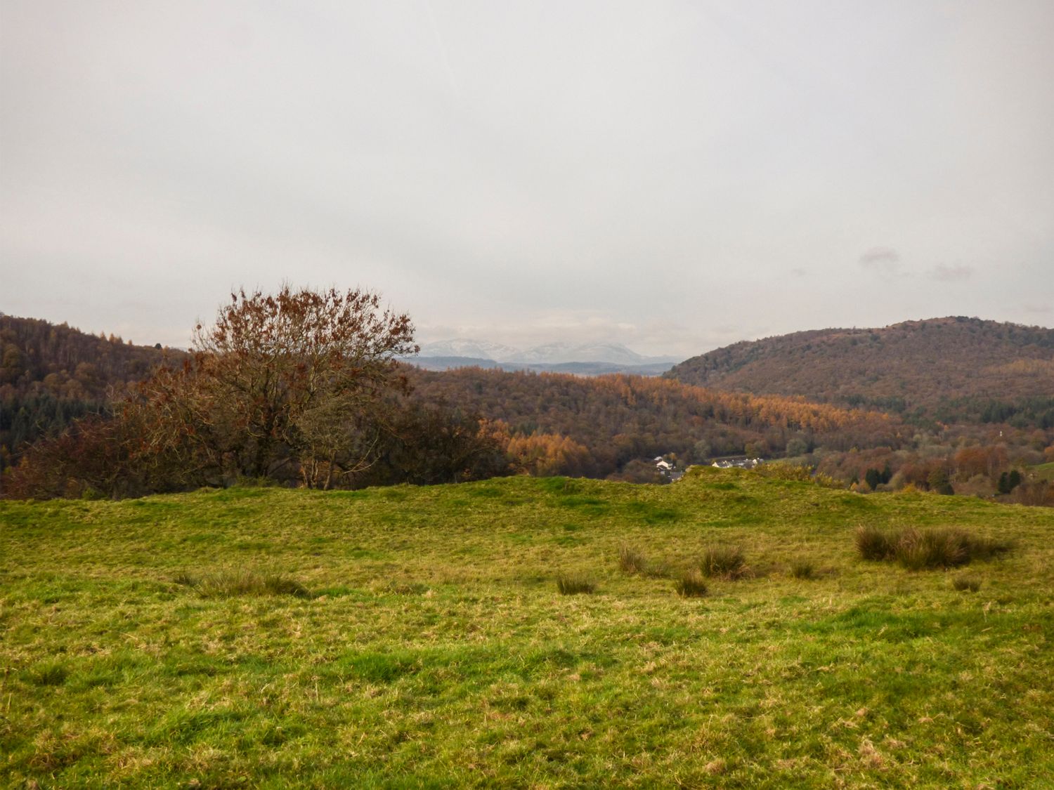 Lime Cottage, Cumbria