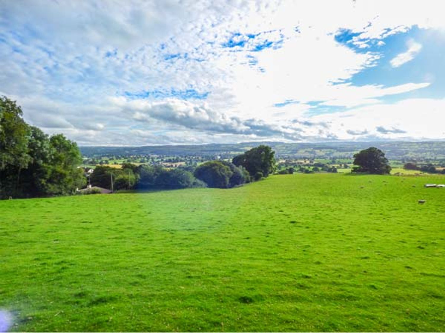 Cedar Gardens, Wales