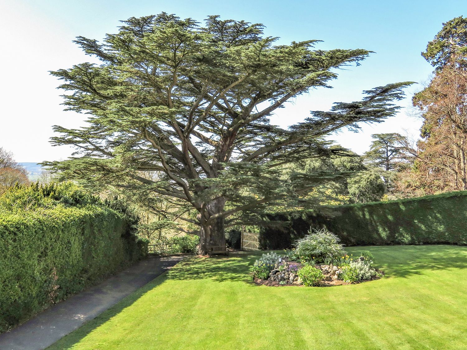 Cedar Gardens, Wales