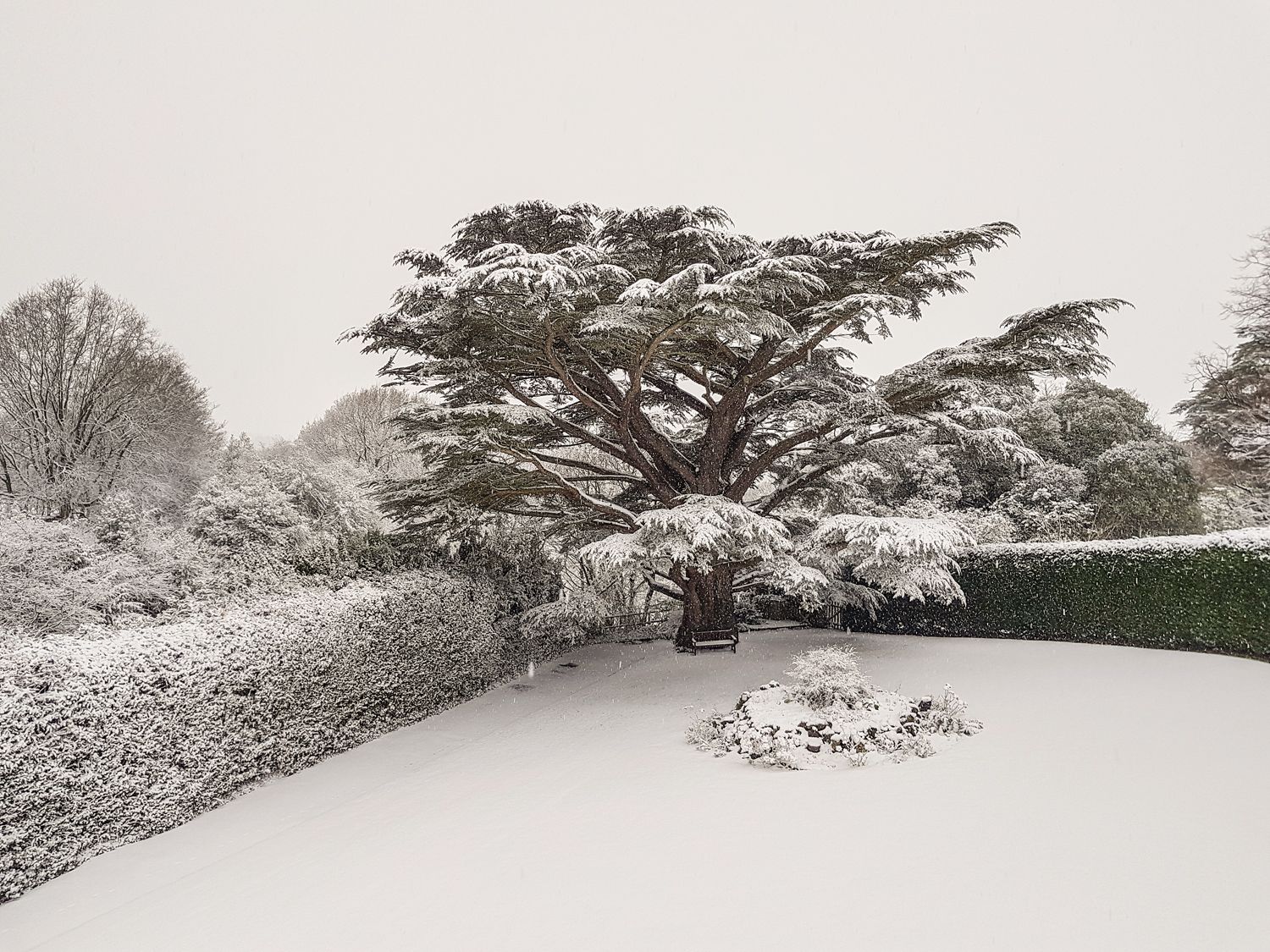 Cedar Gardens, Wales