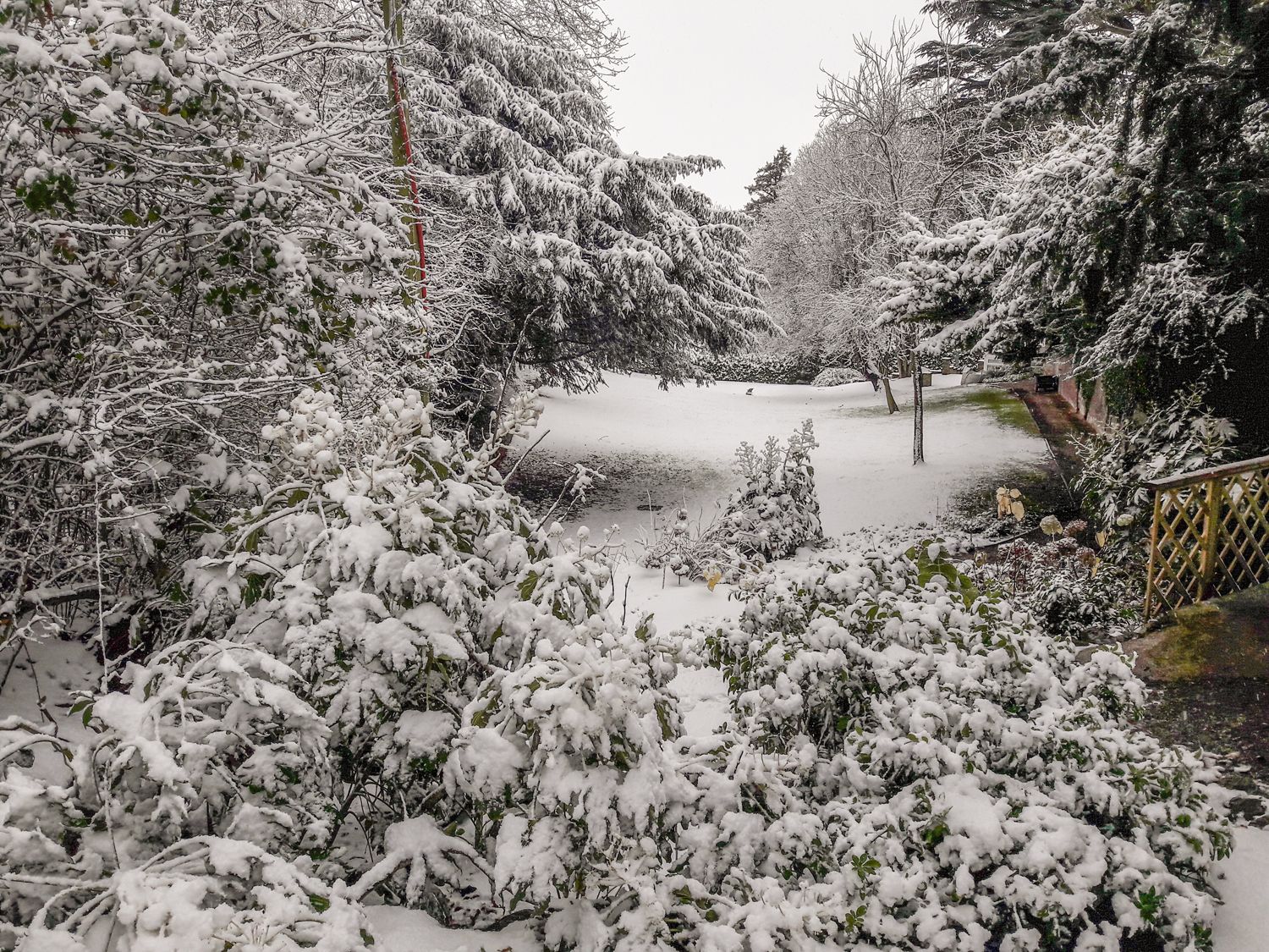 Cedar Gardens, Wales