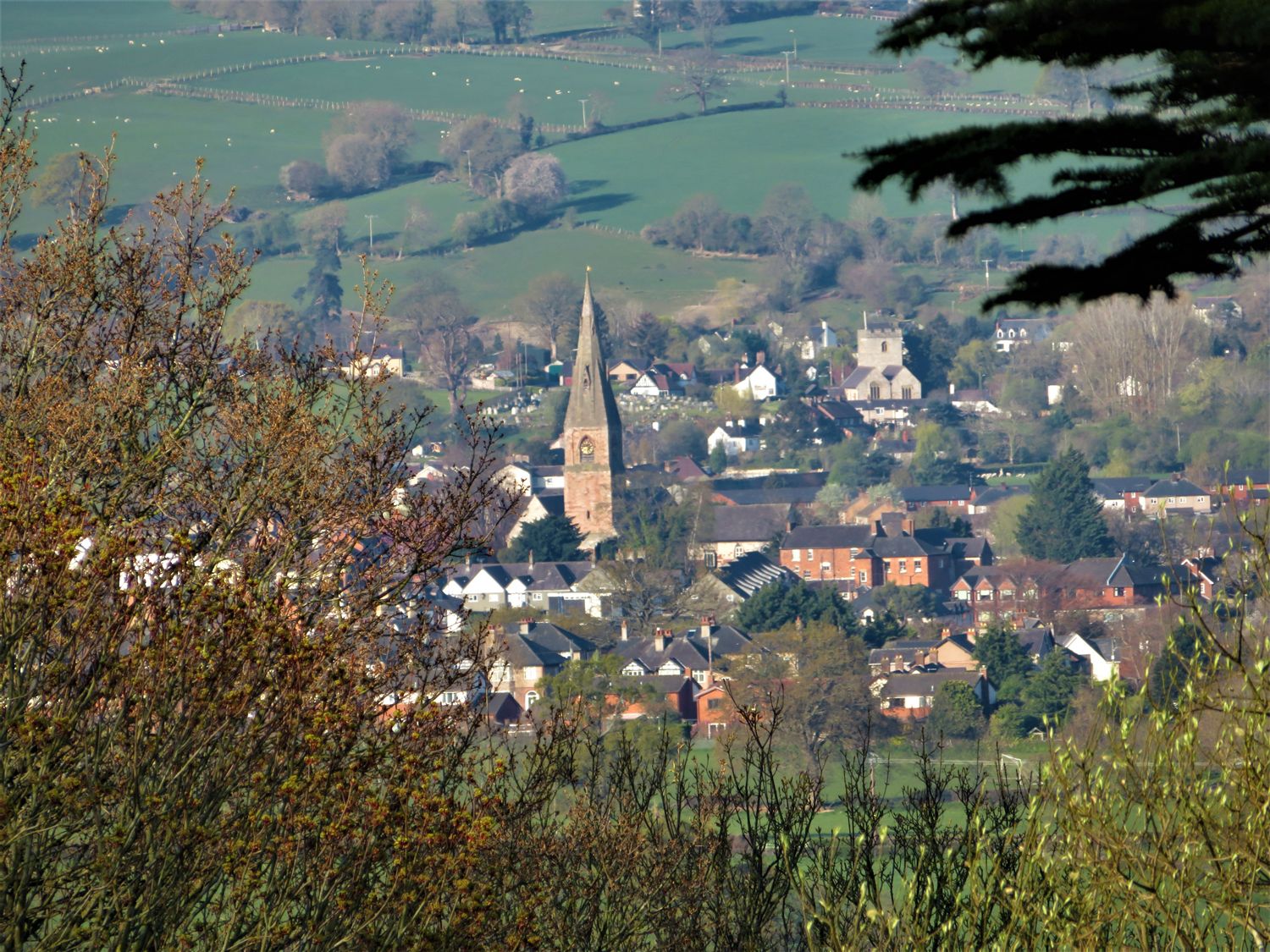 Cedar Gardens, Wales