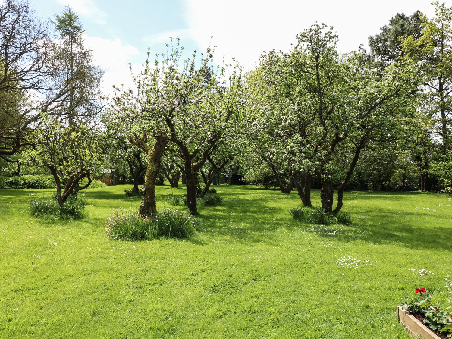 The Apple Store, Lincolnshire