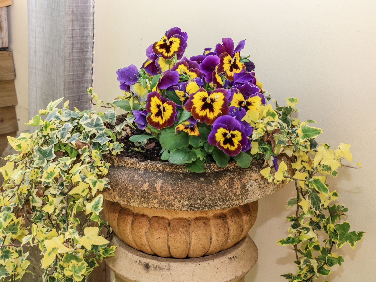 The Apple Store, Lincolnshire