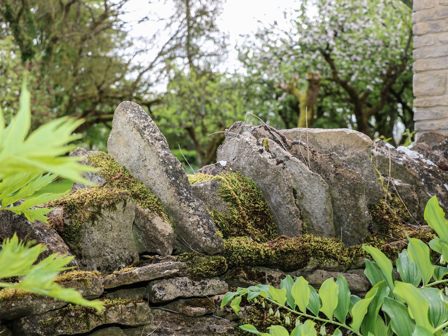 The Apple Store, Lincolnshire