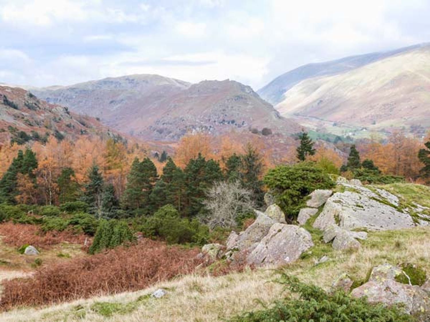 Yew - Woodland Cottages, Bowness-on-windermere