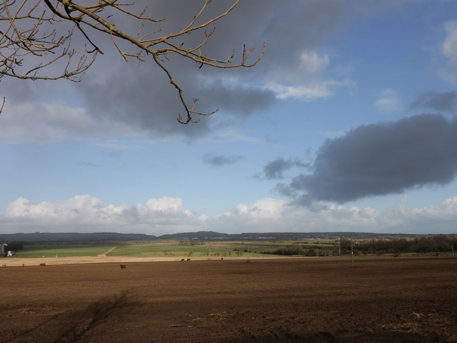 Amari, Yorkshire