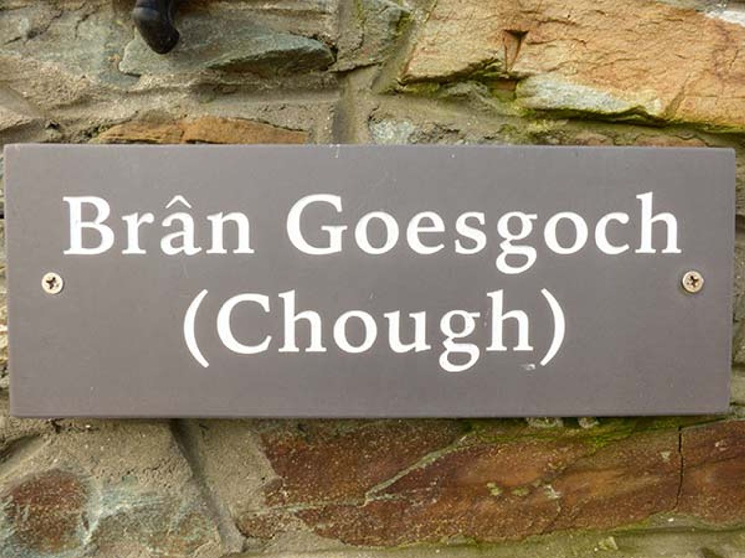 Bran Goesgoch, Wales