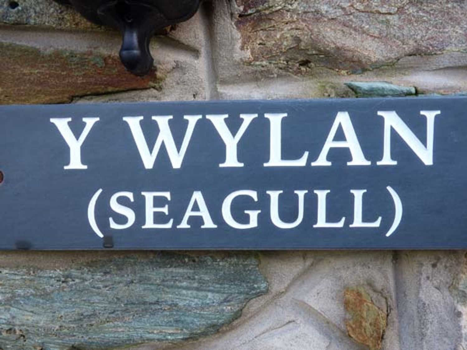 Y Wylan, Wales