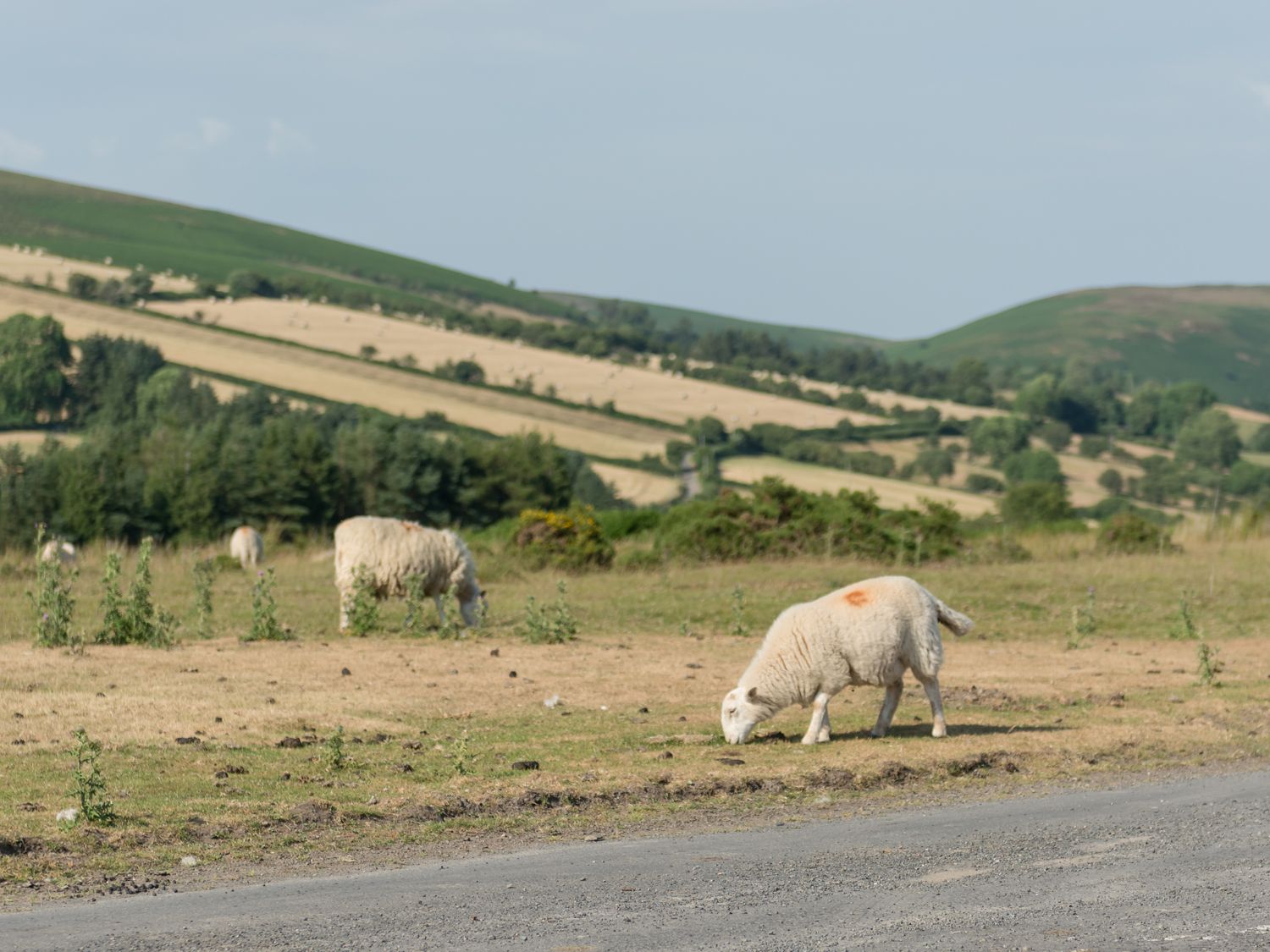 Upper Caerfaelog, Wales