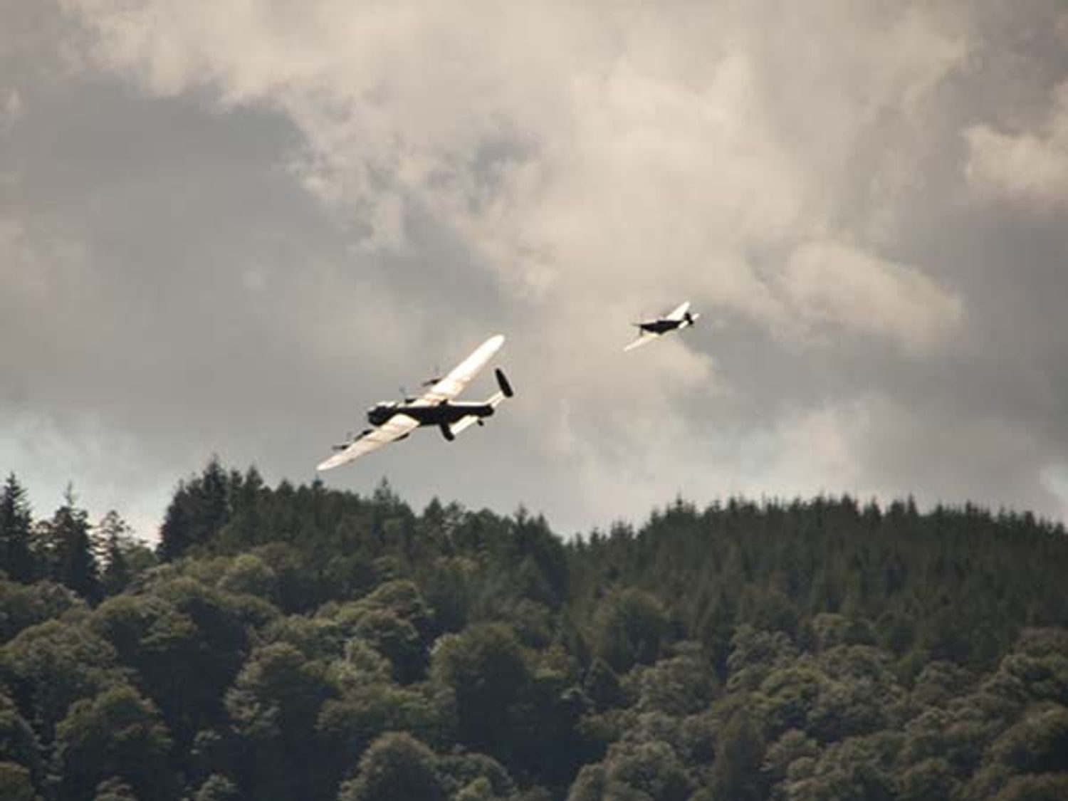 T'whit T'woo, Windermere
