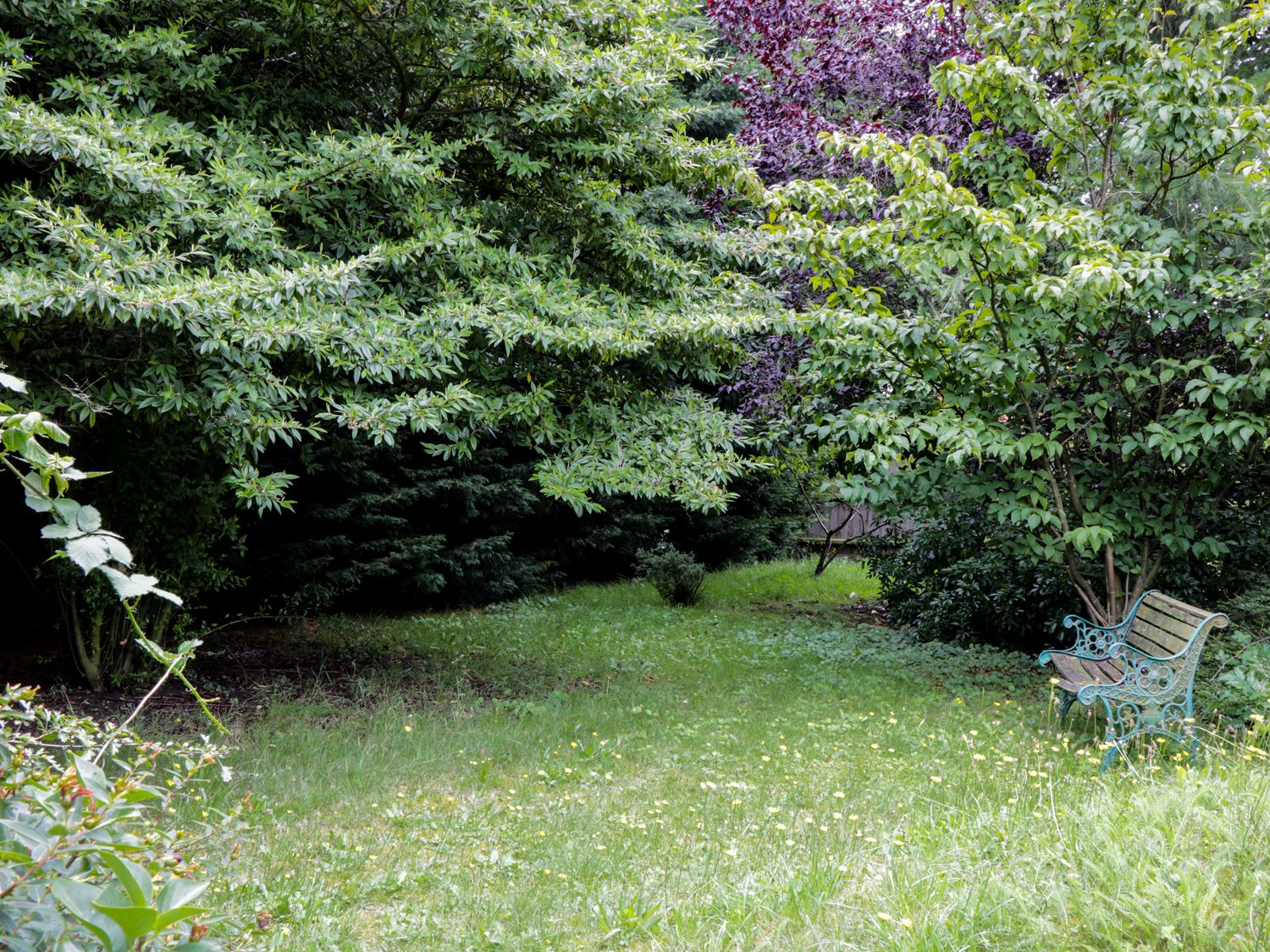 Deer Cottage, East Anglia