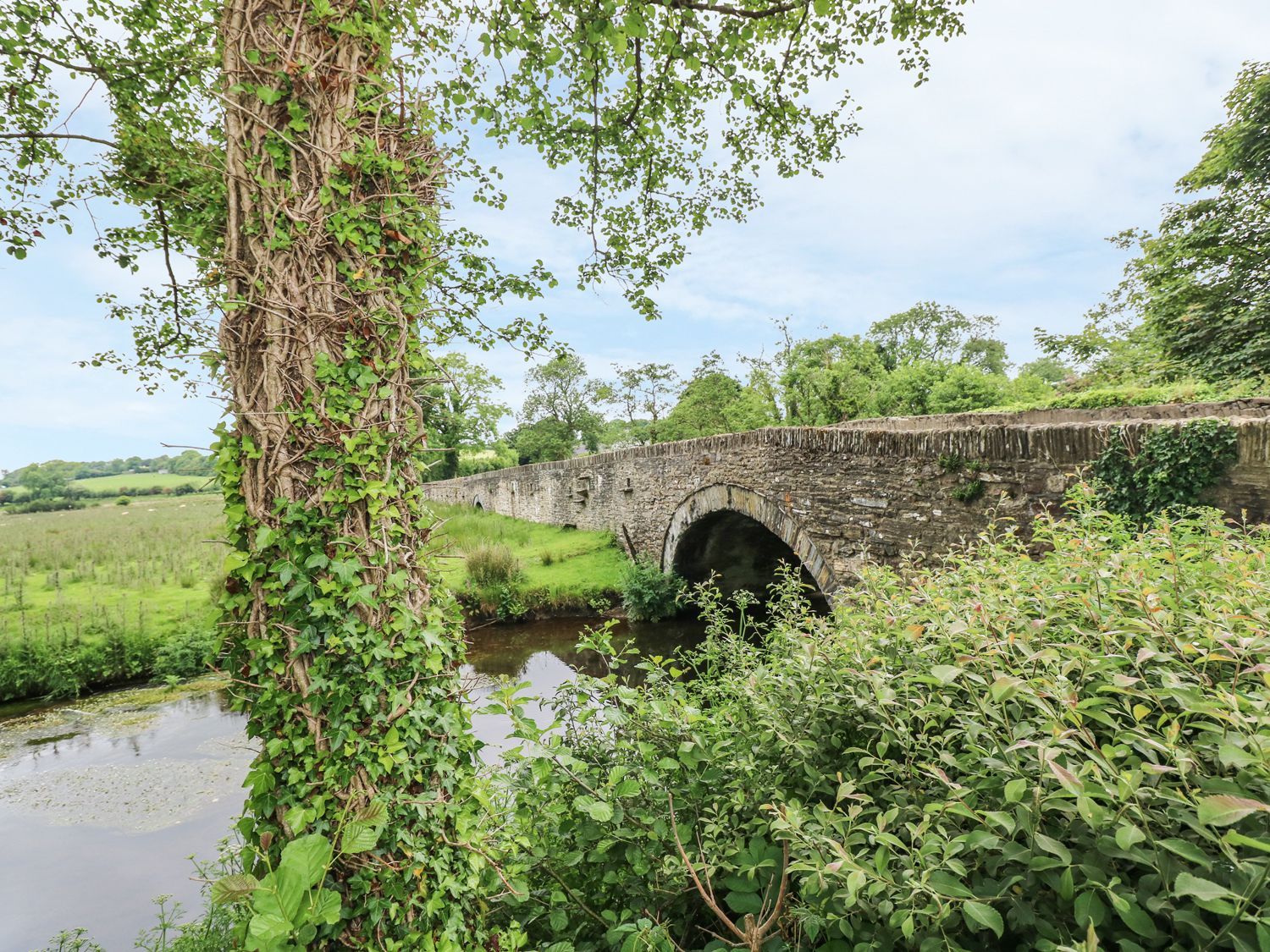 Y Cartws, Southern Wales