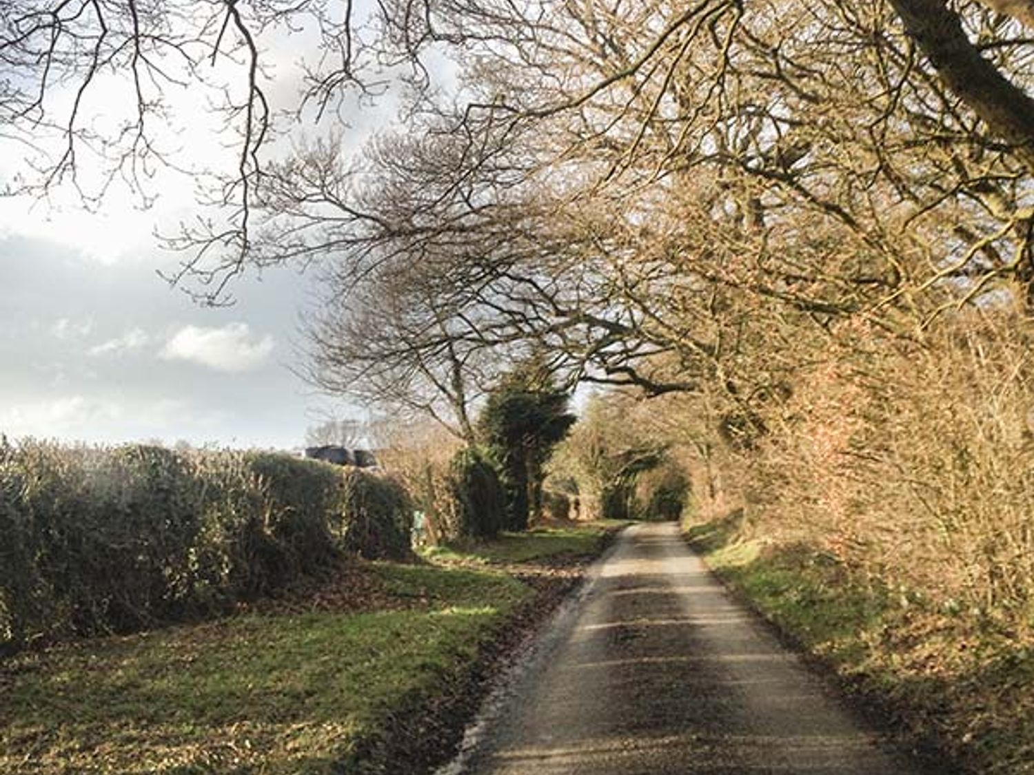 Little Homefield, Shropshire