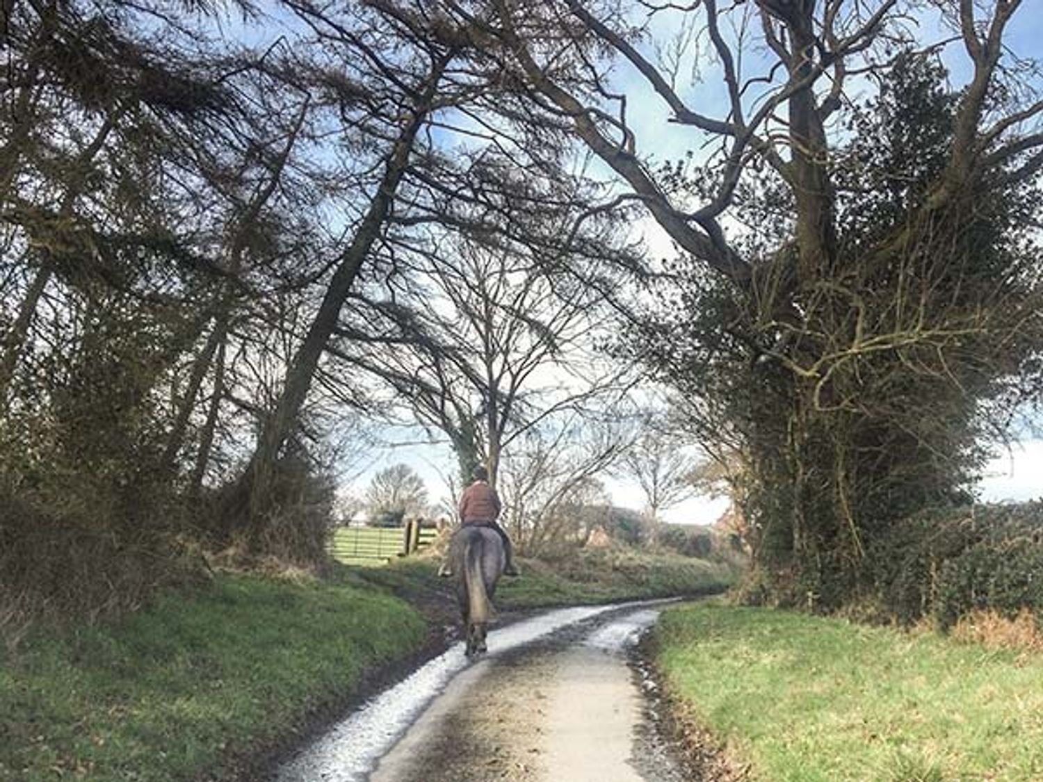 Little Homefield, Shropshire