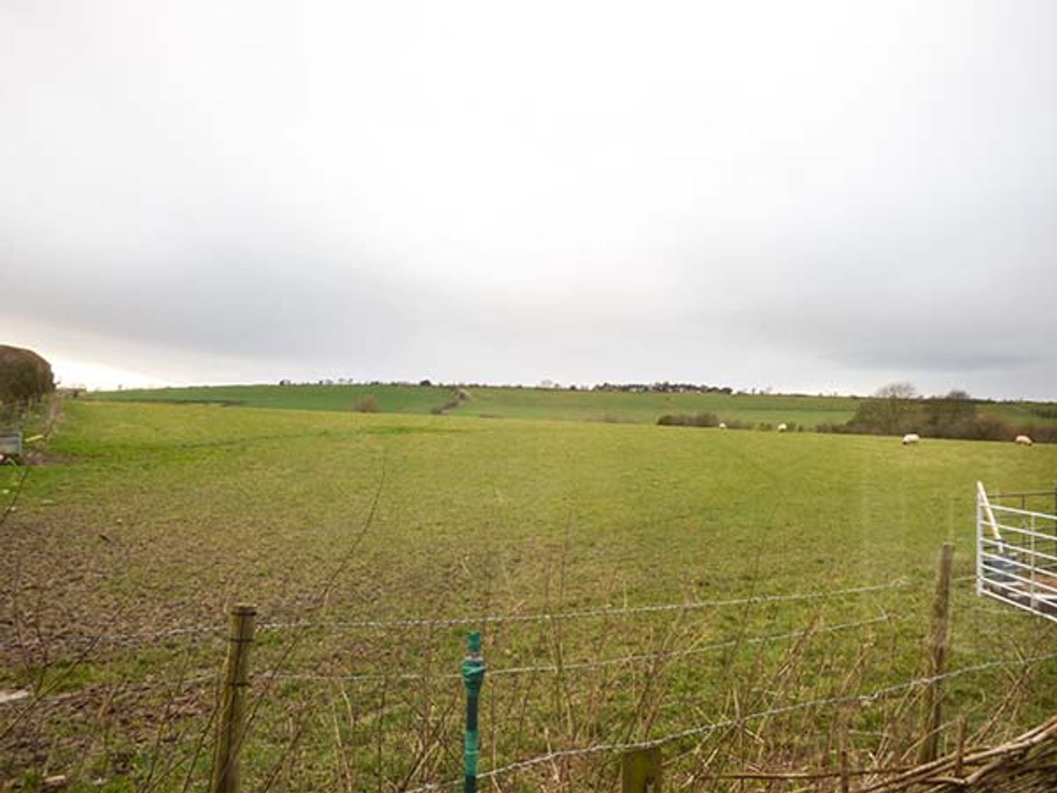 Little Homefield, Shropshire