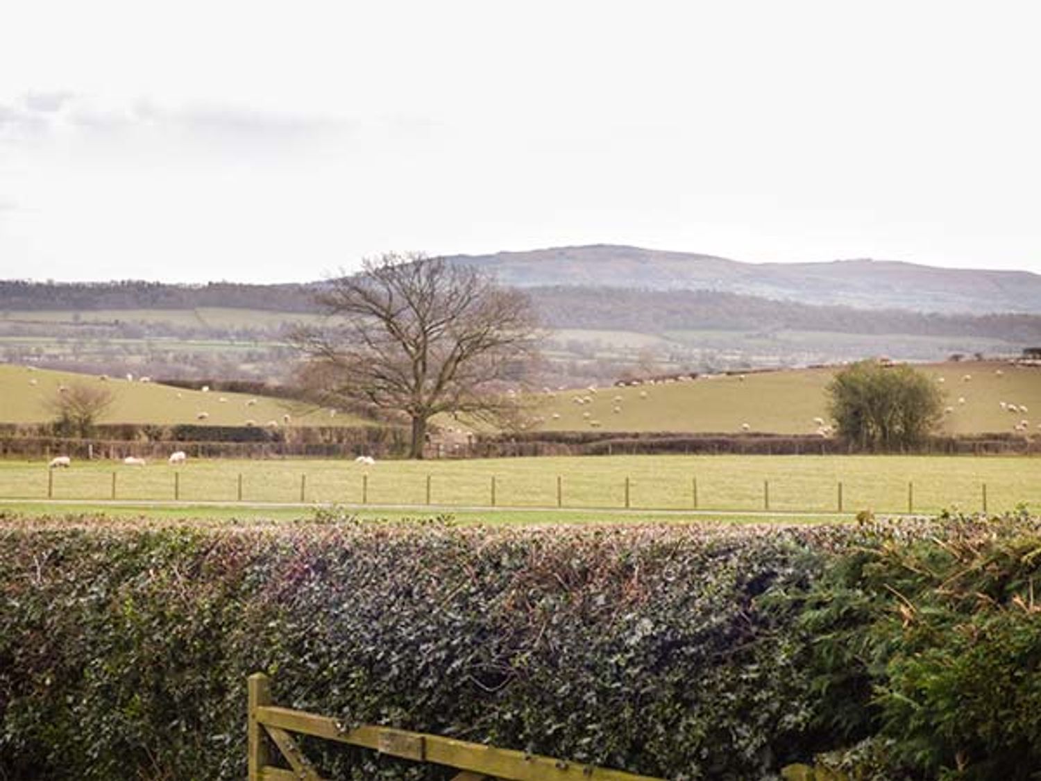 Little Homefield, Shropshire