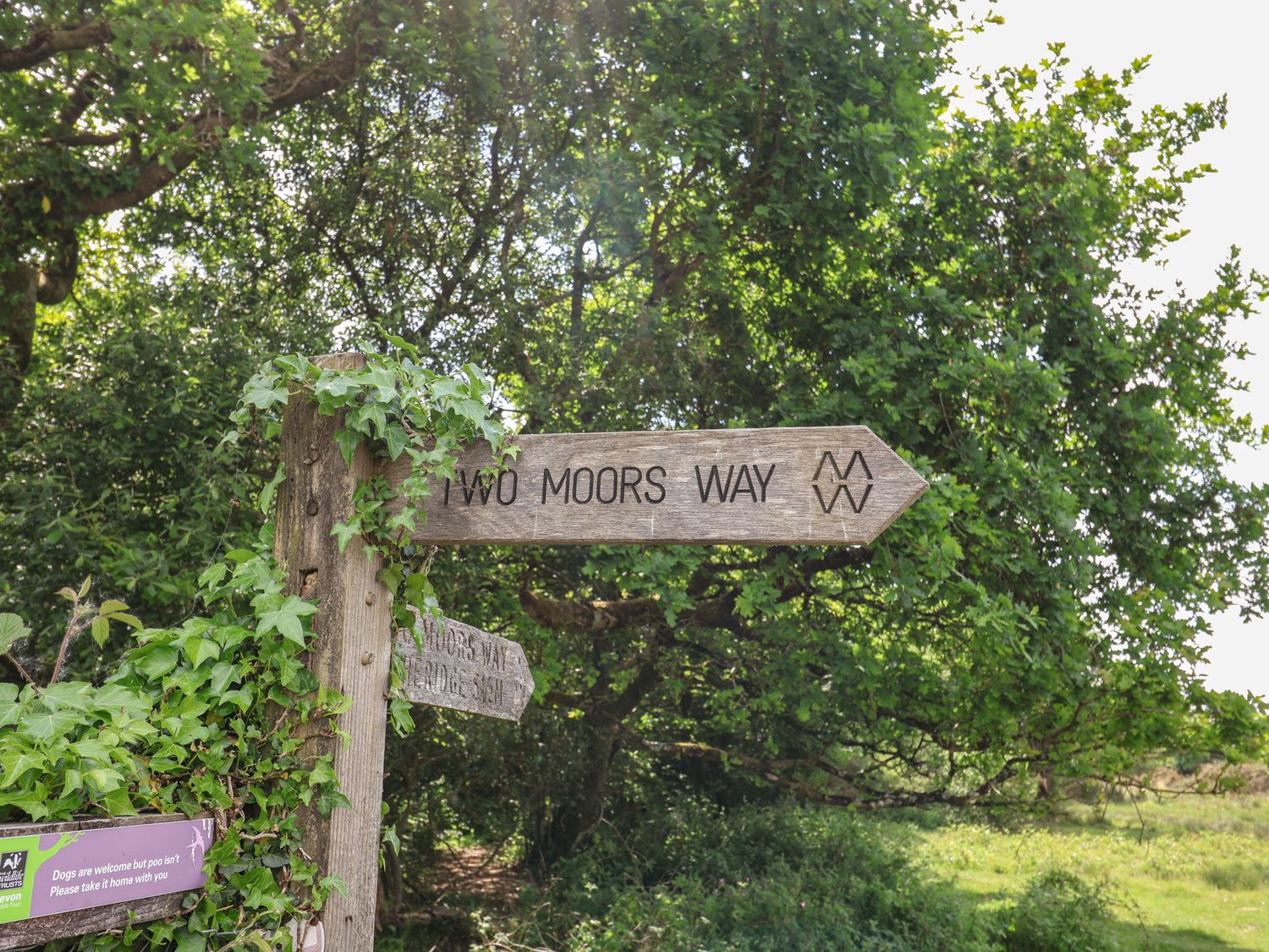 THE OLD WORKSHOP, England, Devon, Knowstone