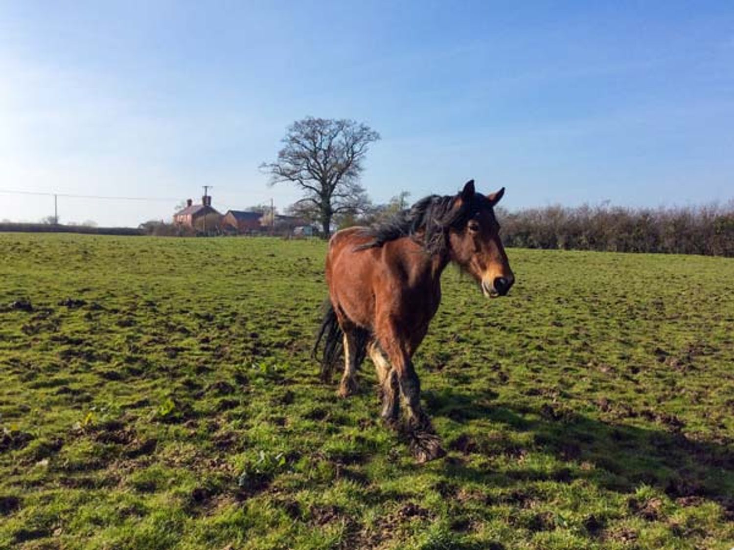 The Shire Hut, North Wales