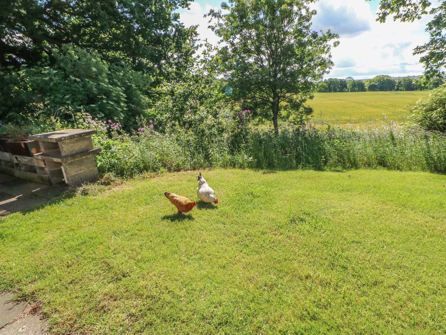 Witton View Cottage, Northumberland