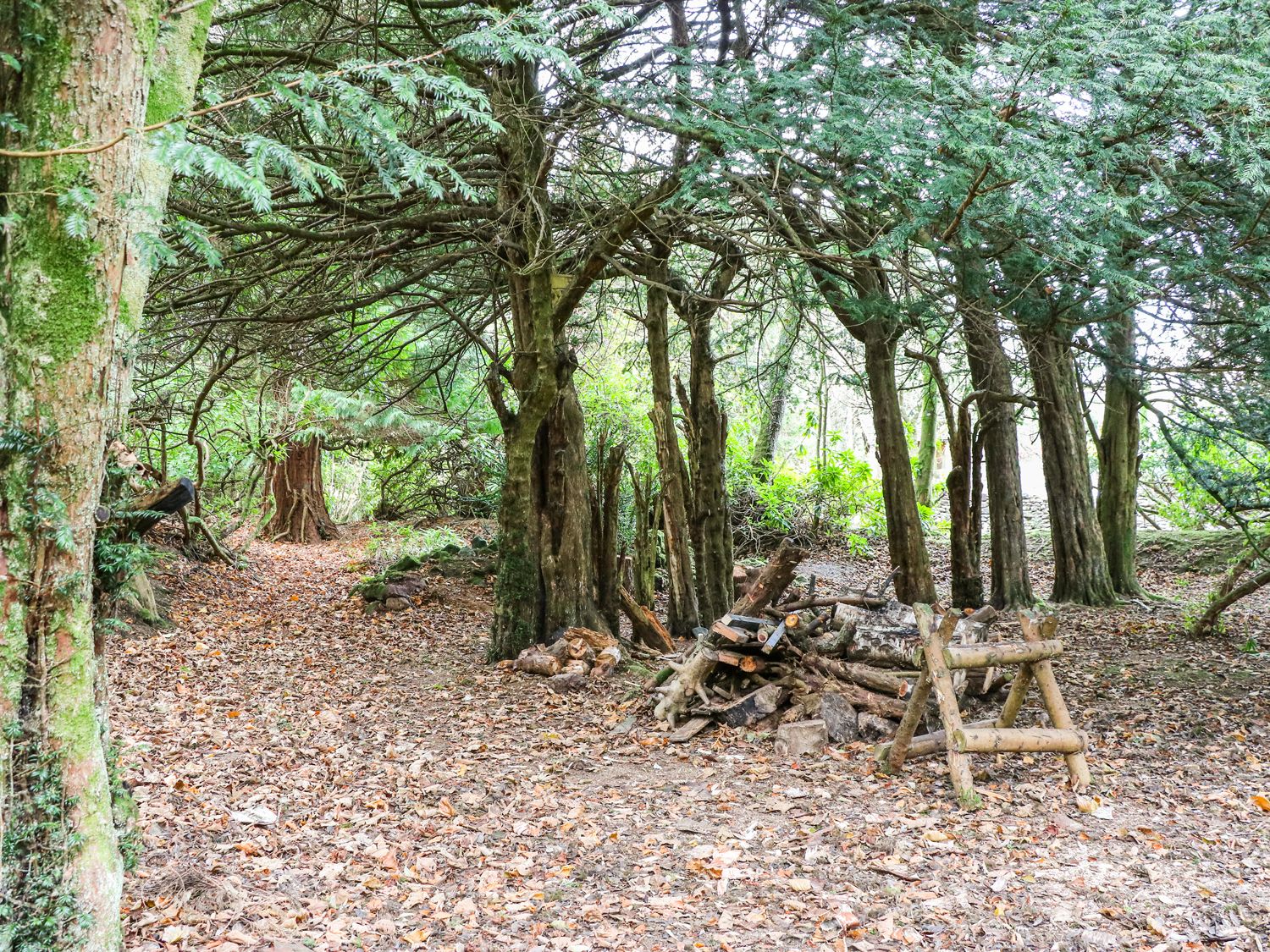 6 Pine Lodge, Scottish Borders