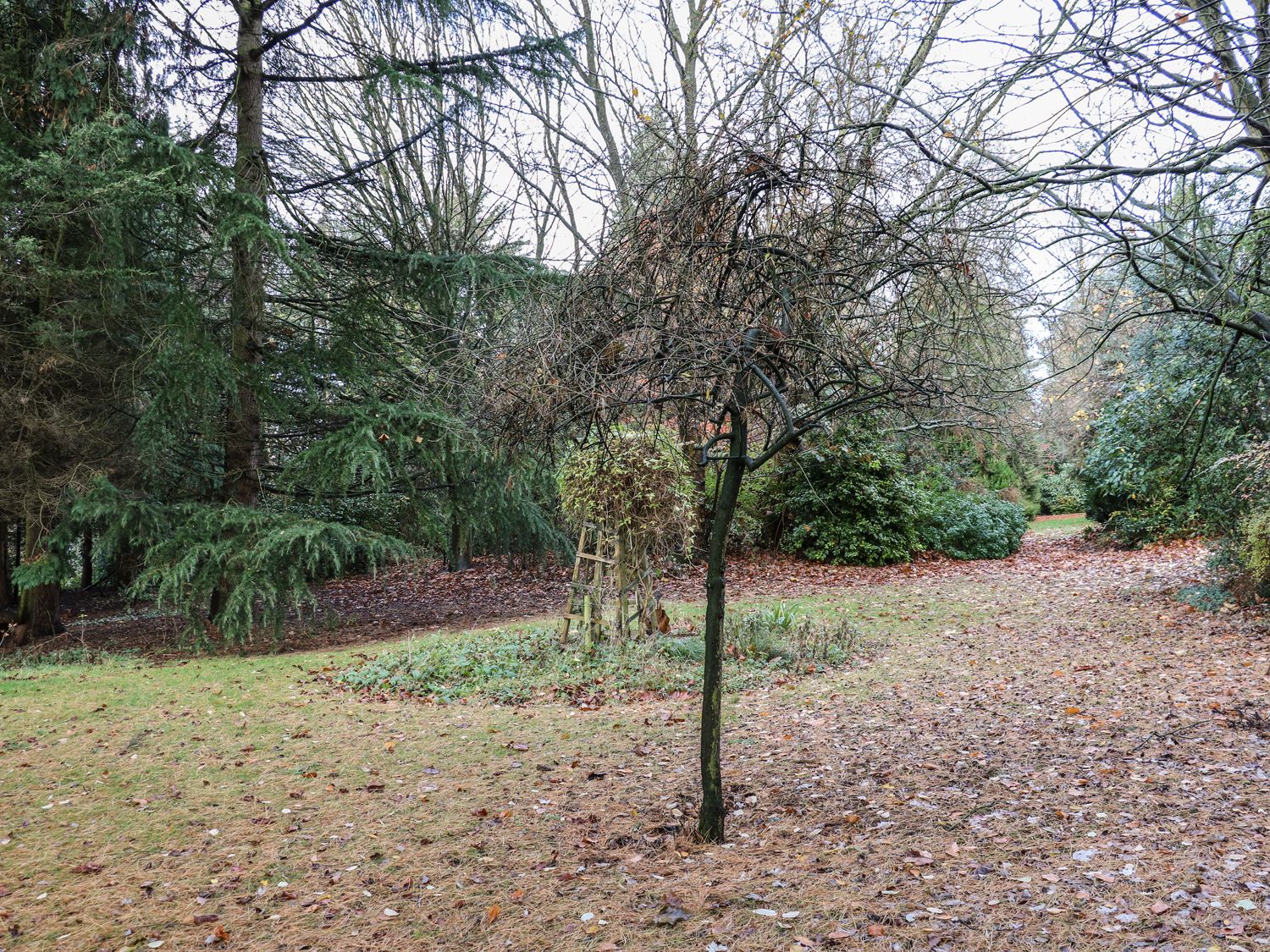 The Annex at 60 Rectory Lane, East Anglia