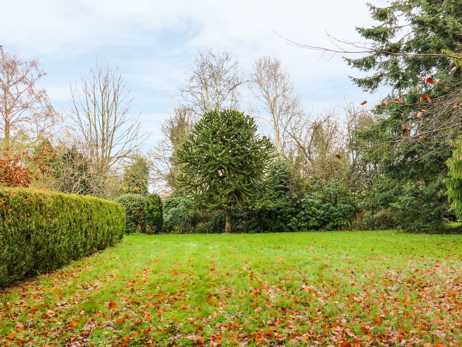 The Annex at 60 Rectory Lane, East Anglia