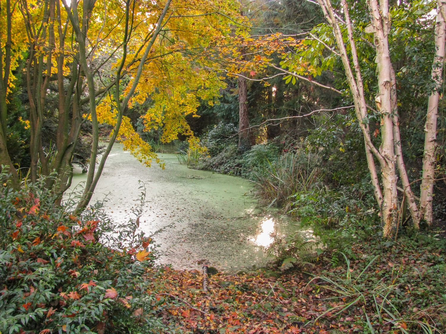 The Annex at 60 Rectory Lane, East Anglia