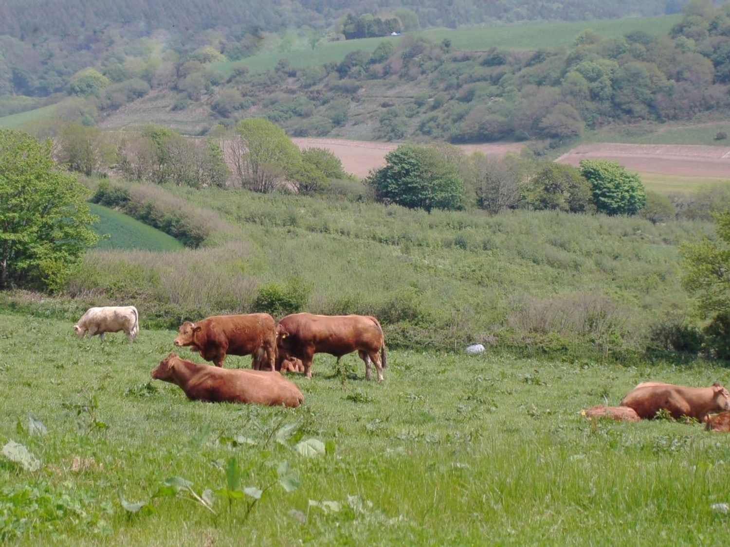 Castle Dore Barn, Cornwall