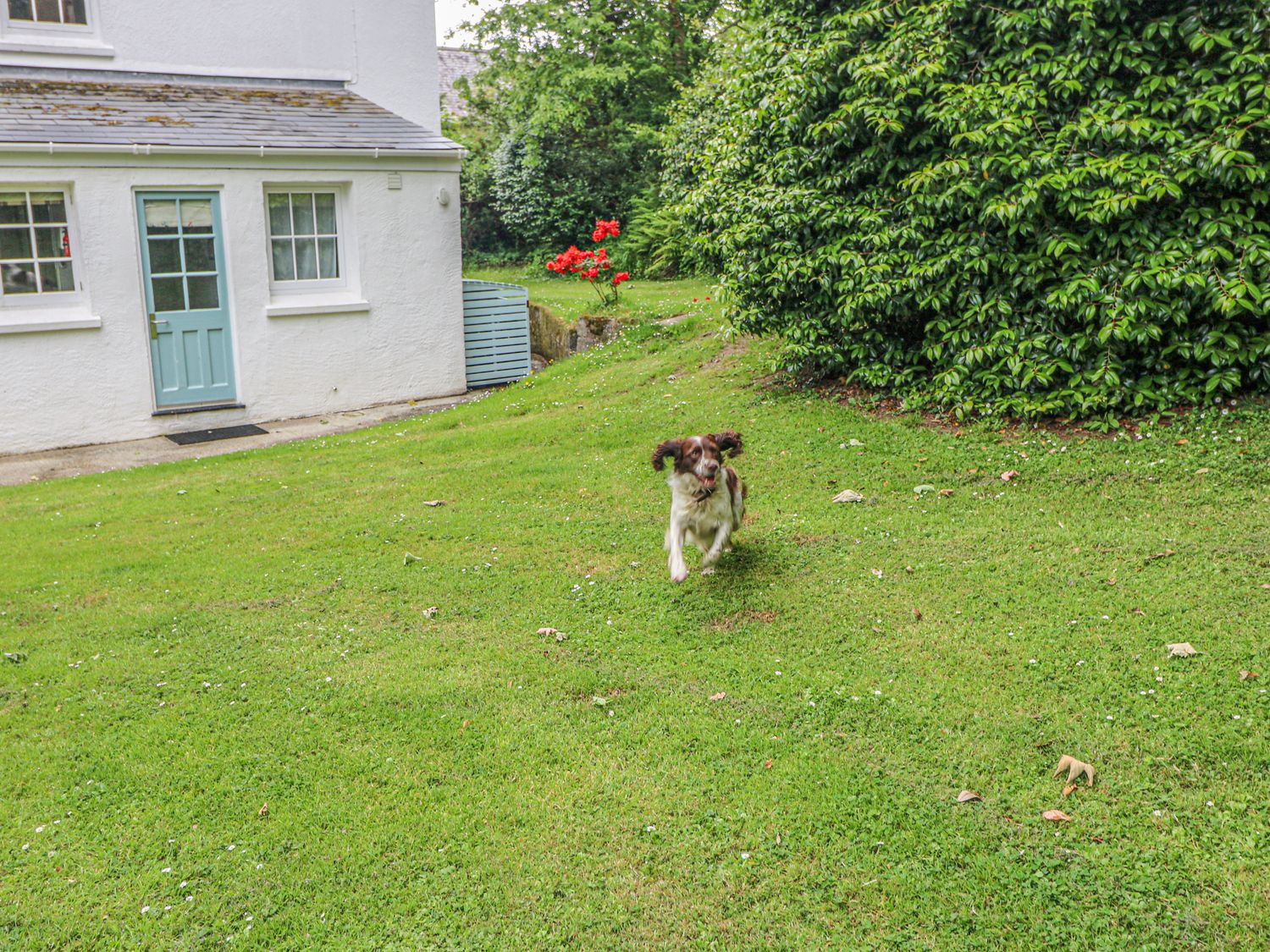 Penwarne Lodge, Cornwall