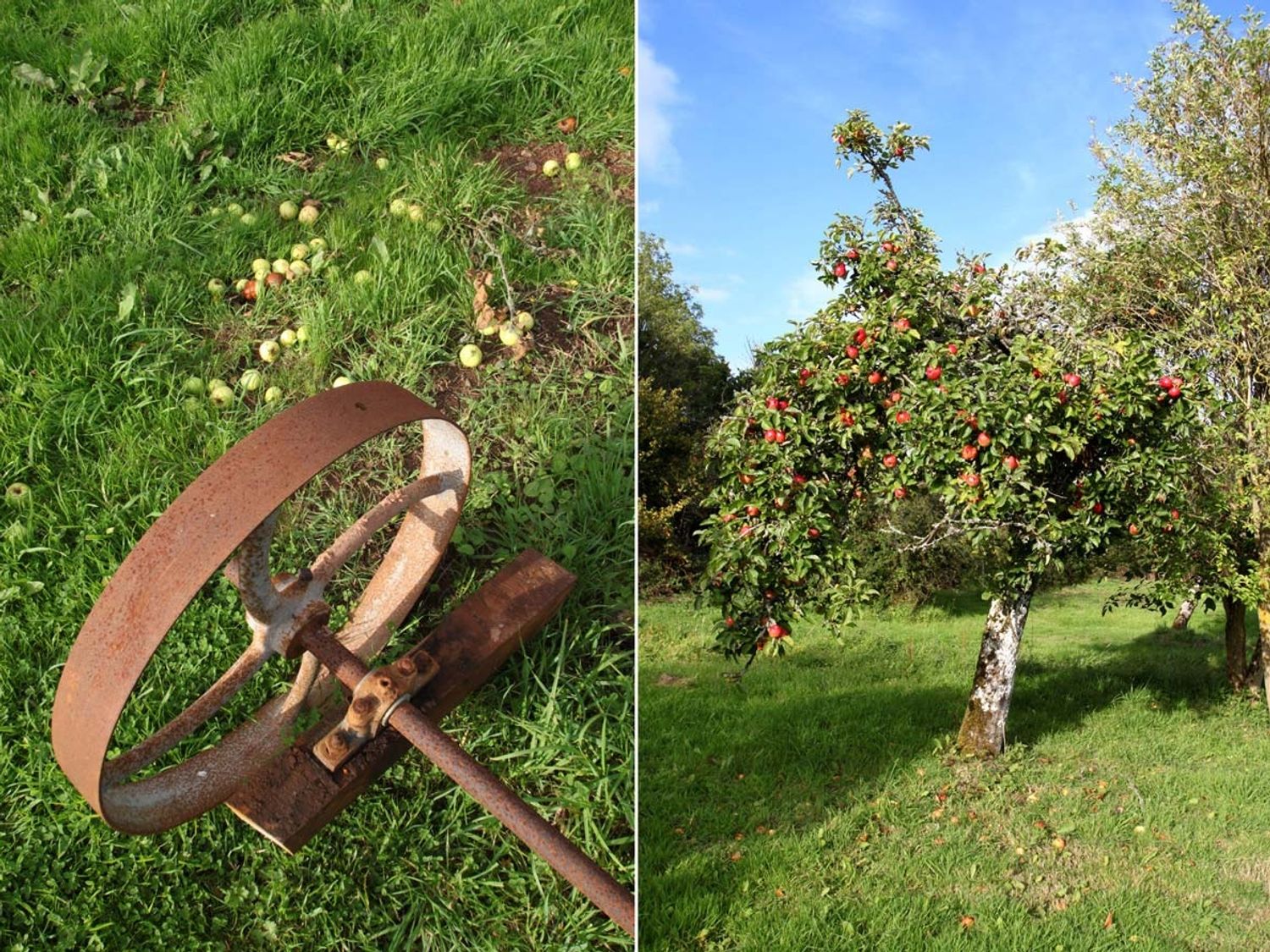 Apple Cottage, Devon