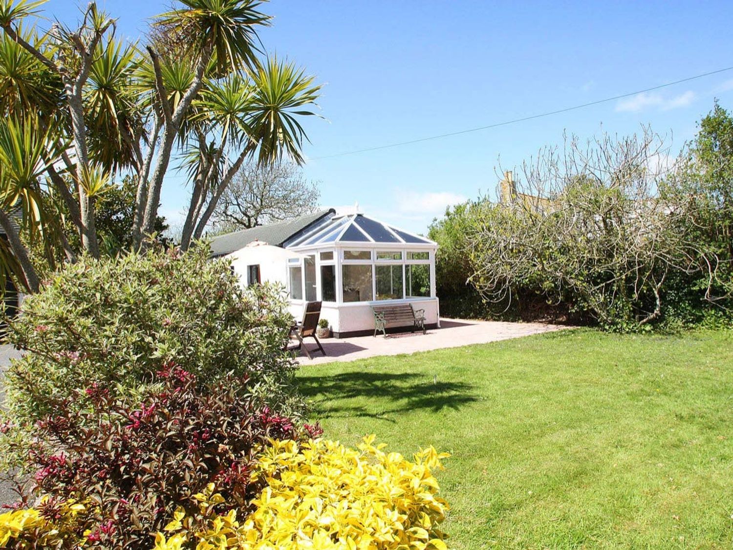 Little Palm Trees, Cornwall