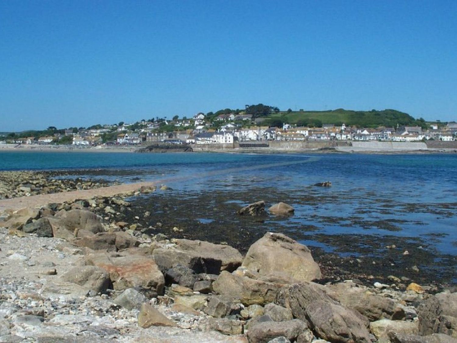 Little Palm Trees, Cornwall