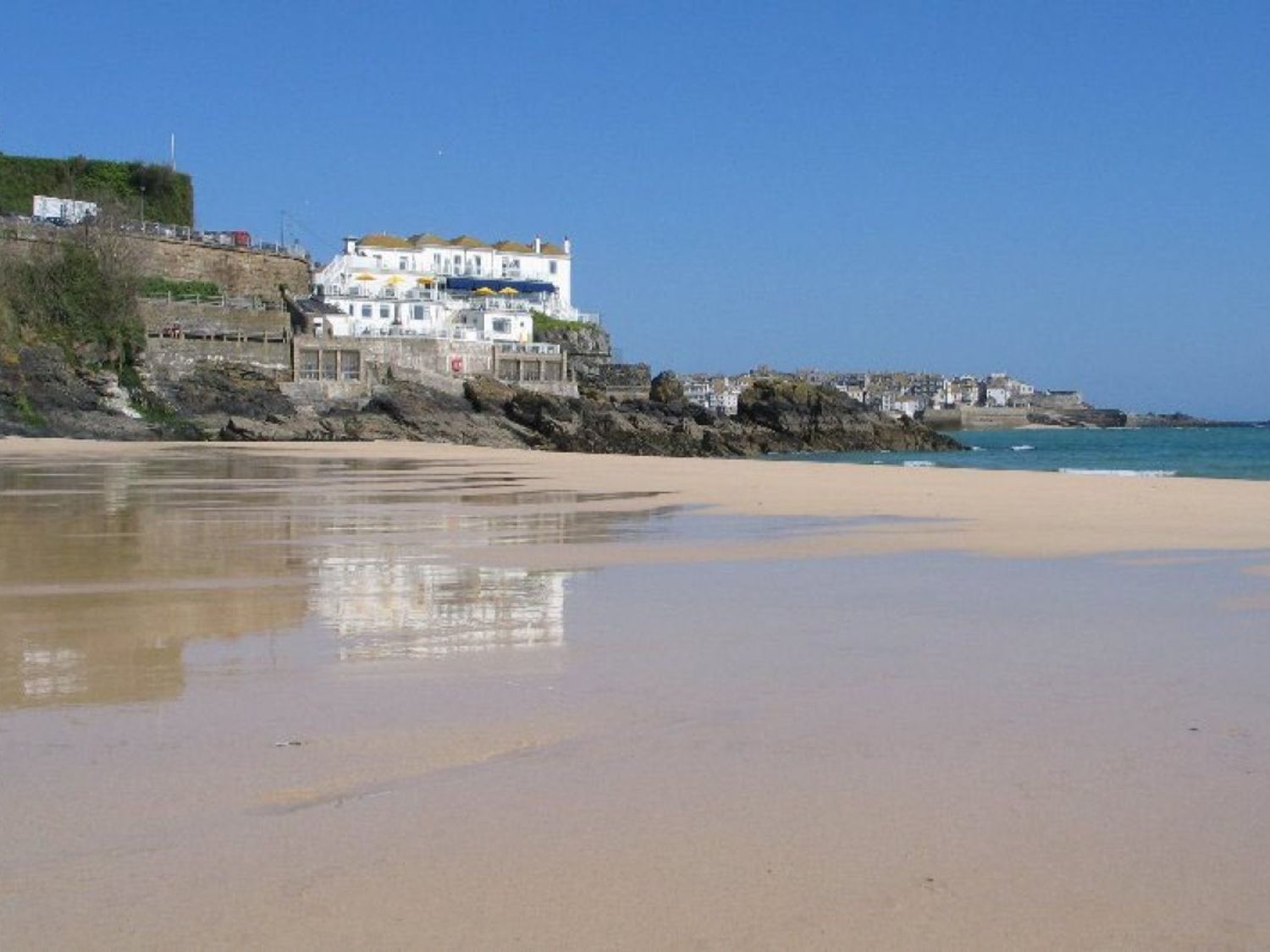 Little Palm Trees, Cornwall