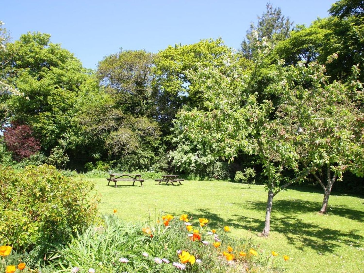 Tre Pol Pen, Cornwall