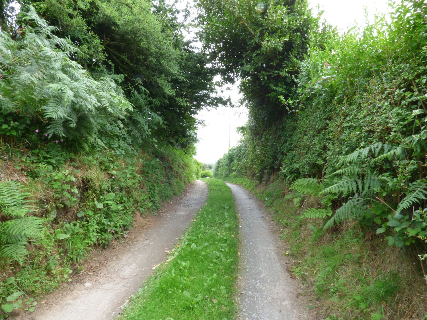 Hickory Cottage, Cumbria