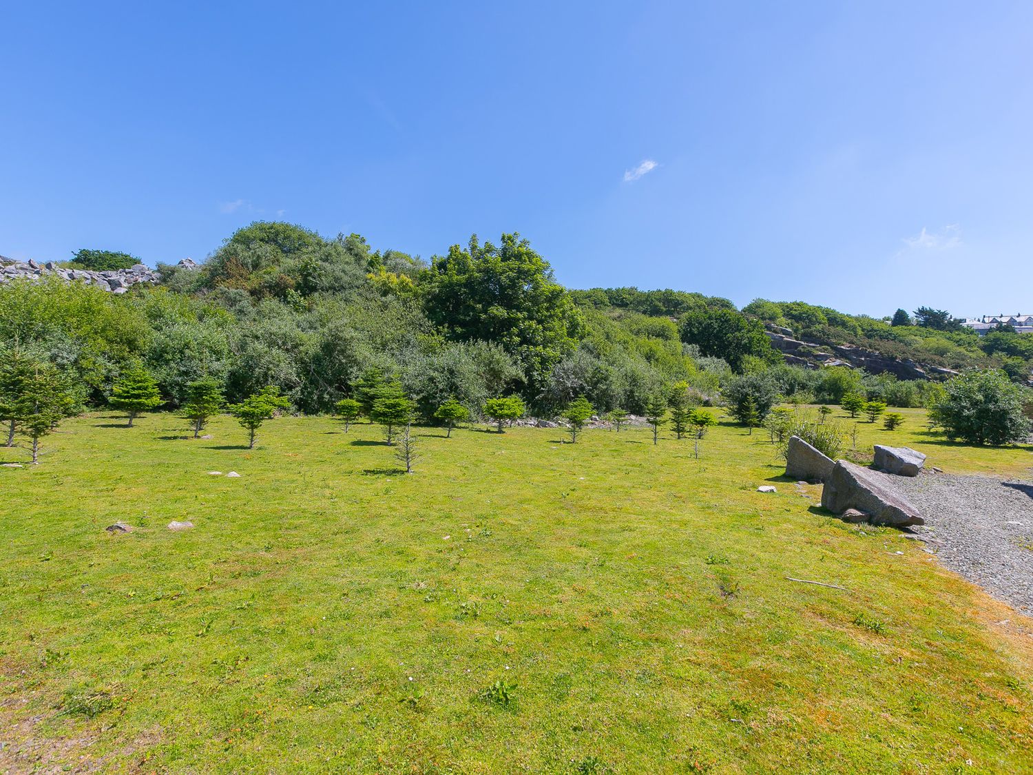 Costentyn, Tor Down Quarry, St Breward