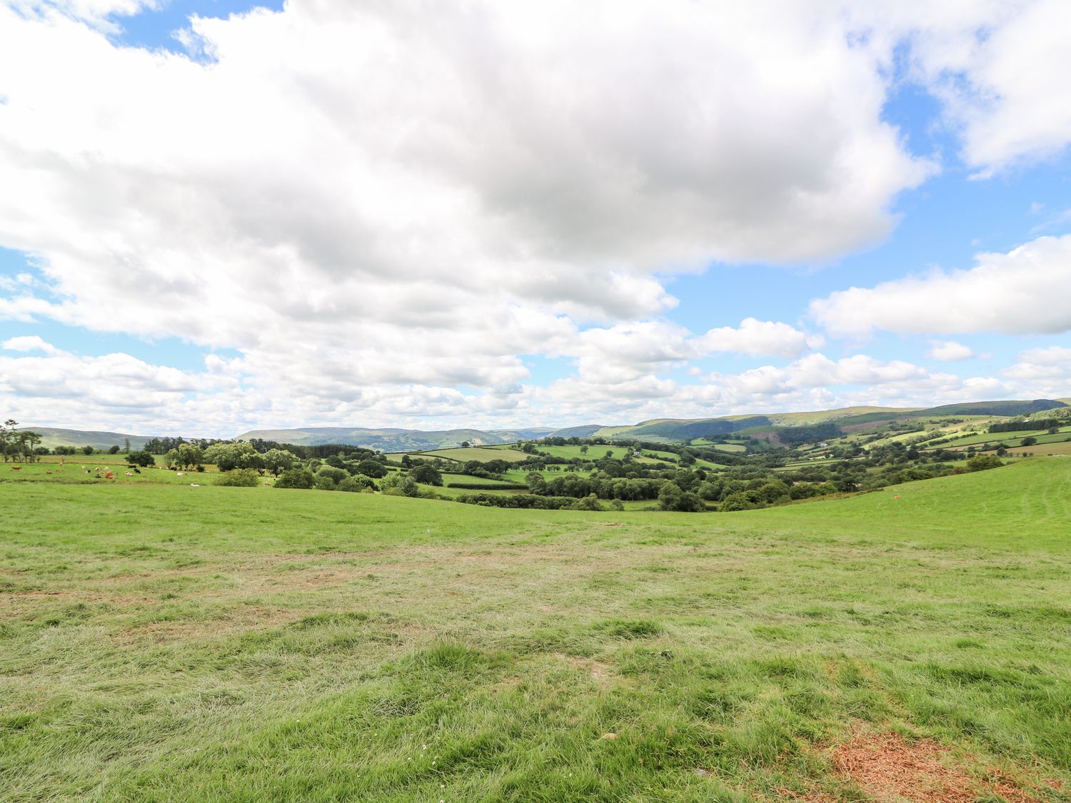 Meadows View, Powys