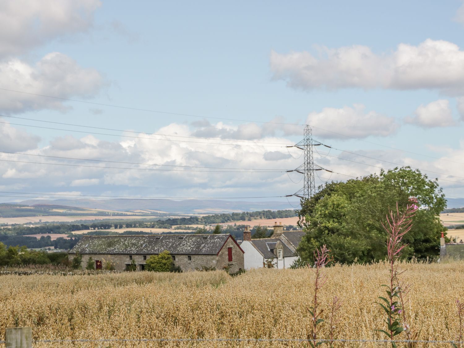 Crosston Farm, Angus