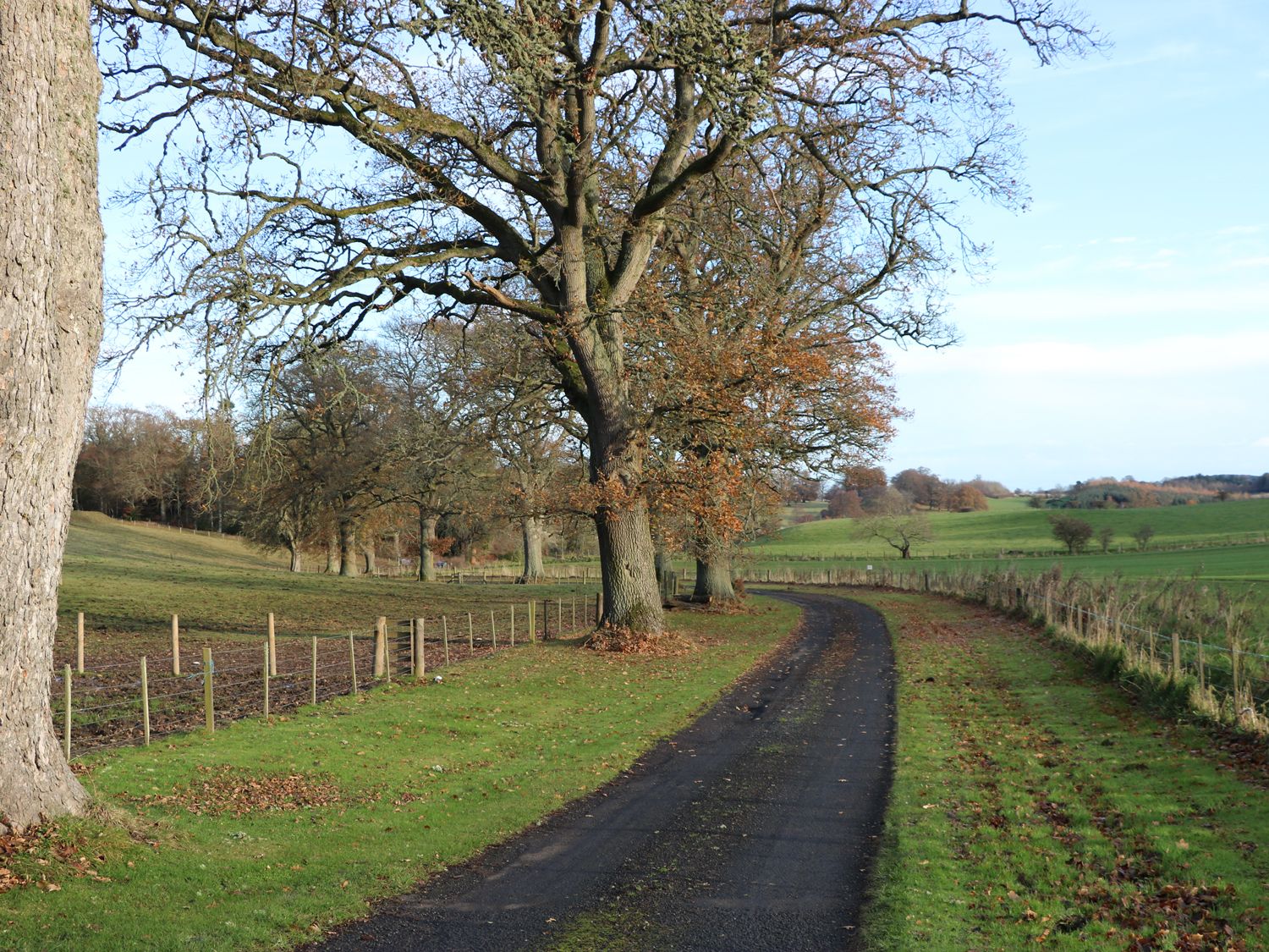 Beech Cottage, Scottish Borders
