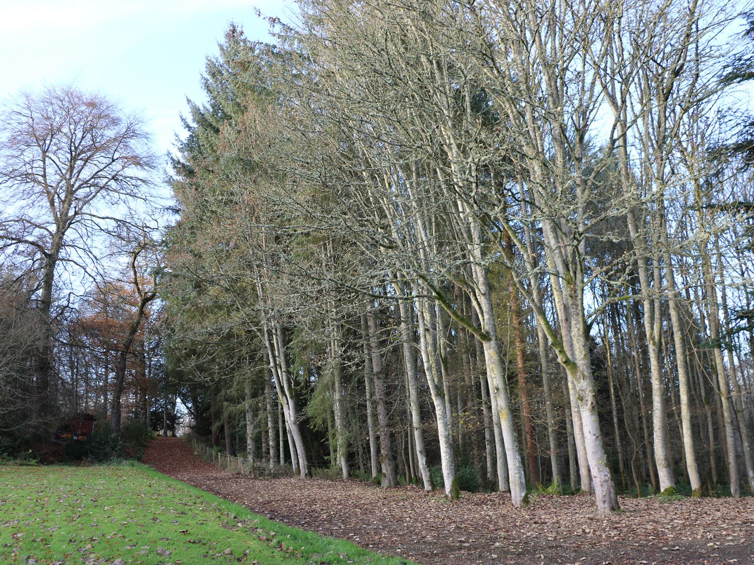 Beech Cottage, Scottish Borders