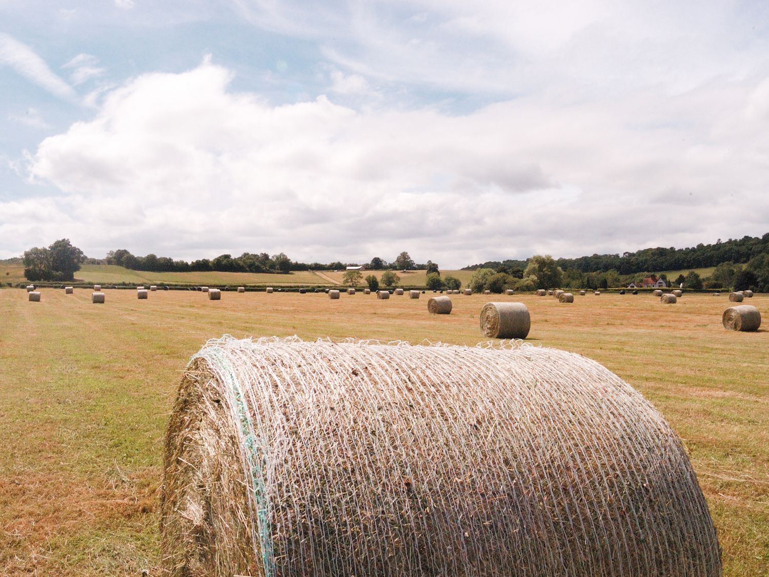 Lower Tundridge Farm, Herefordshire