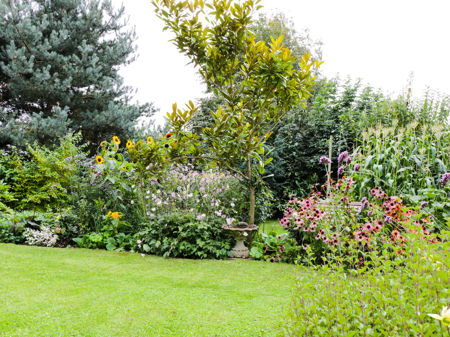 Mrs Dale's Cottage, East Anglia