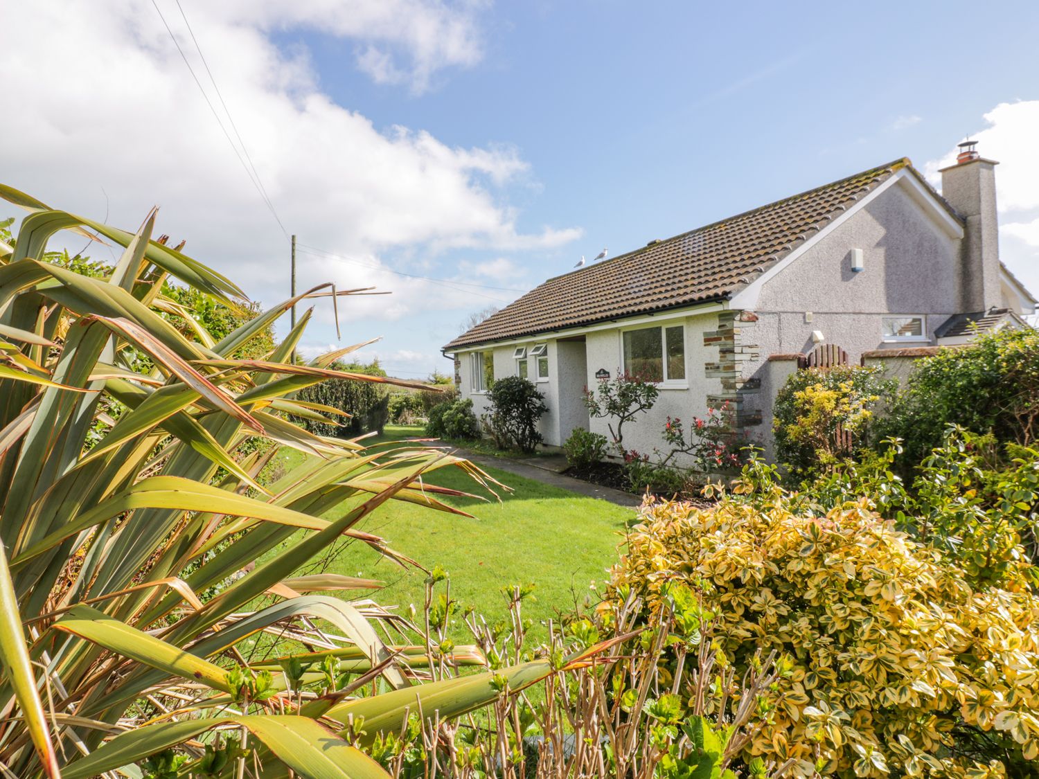 Brambles, Cornwall