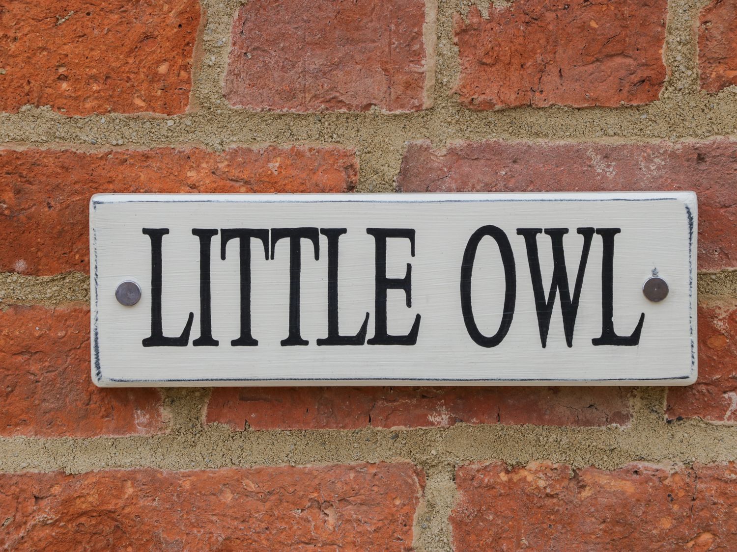 Little Owl, Lincolnshire